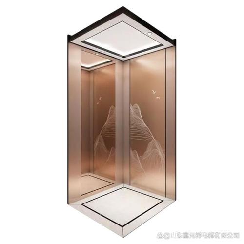 复式家用电梯 河北品质生活的新标配